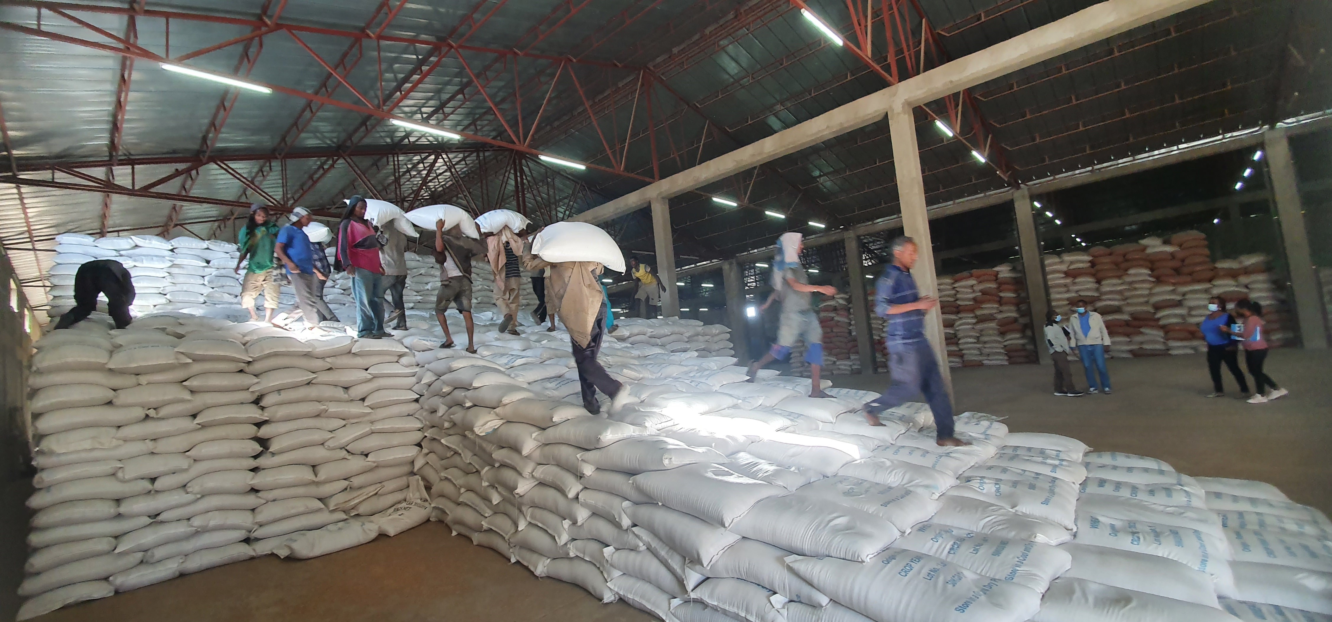 UNOPS Ethiopia procured 400,000MT of Wheat on behalf of the Ethiopia government